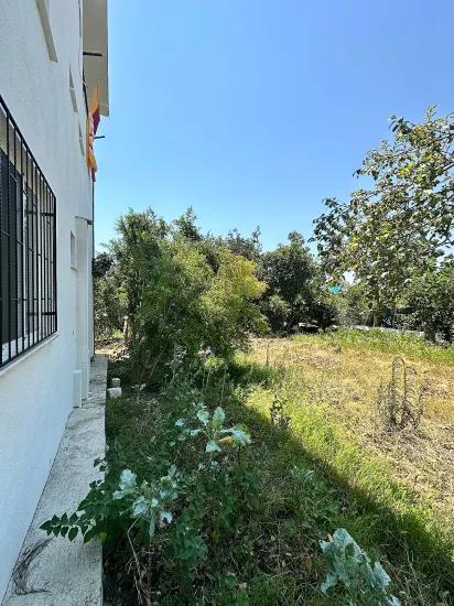 Köyceğiz Zeytinalanı Mah. sind Mietgartenwohnung Im Erdgeschoss