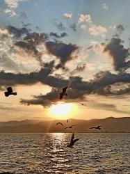 Bio-Lebensstil Und Dorfmärkte In Köyceğiz