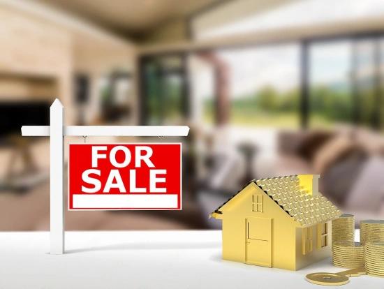 Portfolio Management