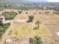 930M2 Shared Land For Sale In Zeytinalani With Lake View