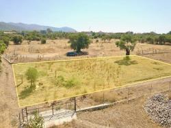 930M2 Shared Land For Sale In Zeytinalani With Lake View