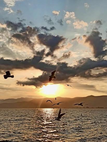 Почему Именно Кёйчегиз?